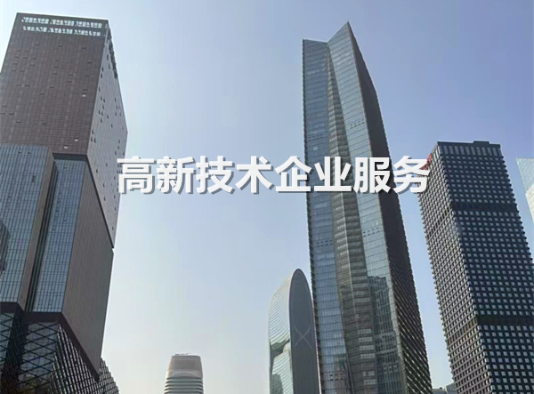 高新技术企业服务